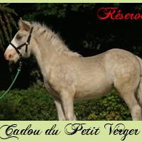 a-vendre-cadou1.jpg