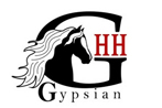 Studbook gypsians (Friesian Heritage)