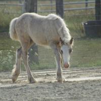 pict0221.jpg