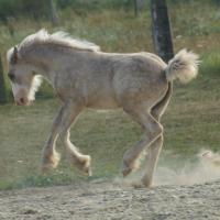 pict0226.jpg