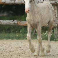 pict0271.jpg