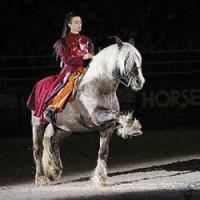 salon2-nuit-comtois1-largep.jpg