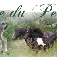 Titre 2016 essai 2